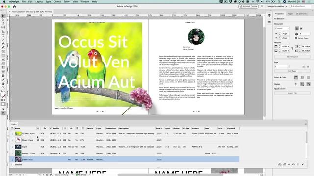 InDesign How-To: View All Link Info in the “Image Inspector” (Video Tutorial) смотреть онлайн
