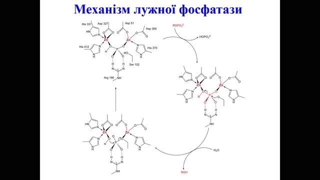 Як працюють ензими смотреть онлайн