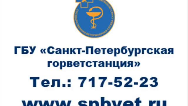 ГВС СПб ролик смотреть онлайн