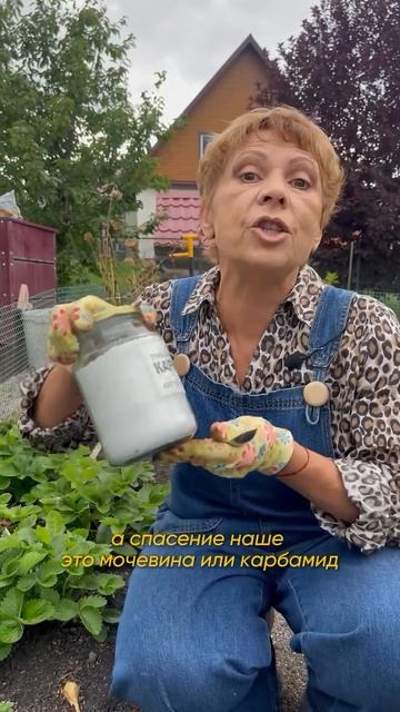 Как избавиться от сорняков смотреть онлайн