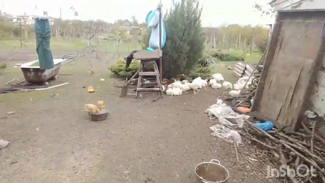 СЕРИЯ 97, ЕЗДИЛИ МЫ СЕГОДНЯ К ЗУБНОМУ... ВЫРВАЛИ НАМ ДВА ЗУБЫ, МНЕ НИЖНИЙ, МАМЕ ВЕРХНИЙ...🦷😃 смотреть онлайн