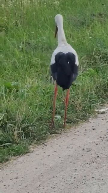 10 июля 2023 г. Часть 6. По дороге с облаками... смотреть онлайн
