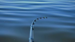 Волга в апреле рыбалка мечты или провала Рыбалка 2025