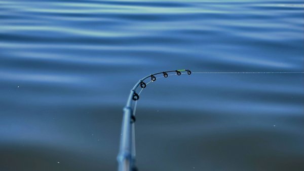 Волга в апреле рыбалка мечты или провала Рыбалка 2025