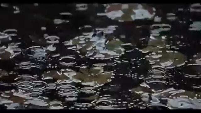 стихи смотреть онлайн