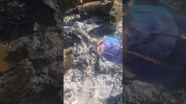 Destroying a Ninja poster смотреть онлайн