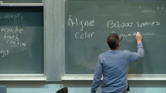 Algae, Mosses, Lower Vascular Plants - Biology 1B Lecture 2 смотреть онлайн