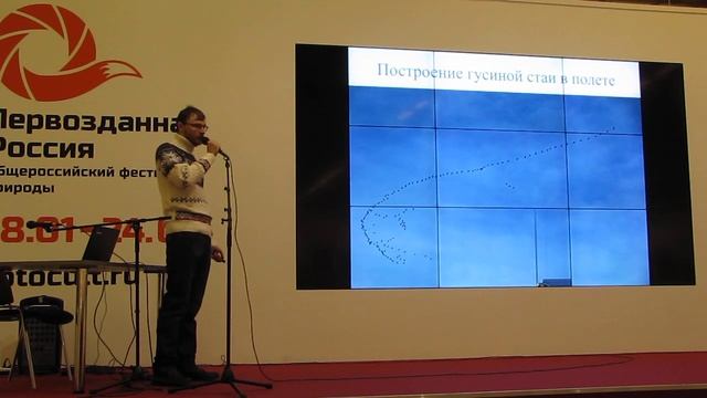 Даниил Давыдов, Голоса птиц Подмосковья, часть-1 смотреть онлайн
