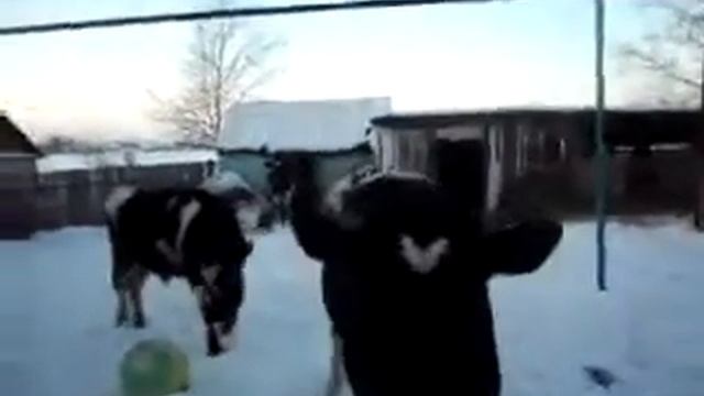 лоркино хозяйство смотреть онлайн