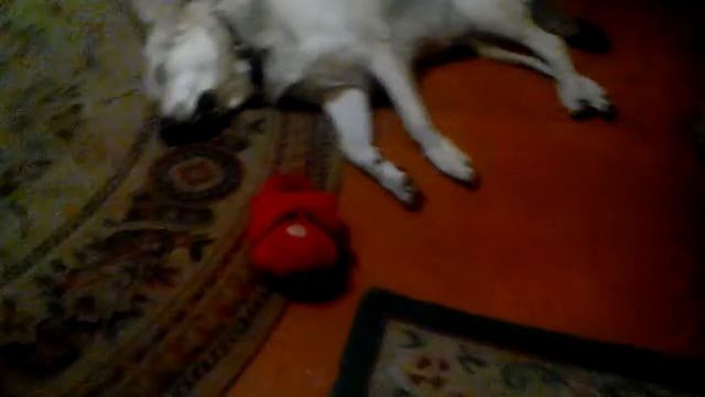 Юта лунатик!!! смотреть онлайн