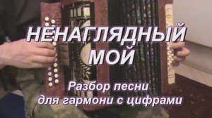 Ненаглядный мой. (050 гармонь с цифрами)