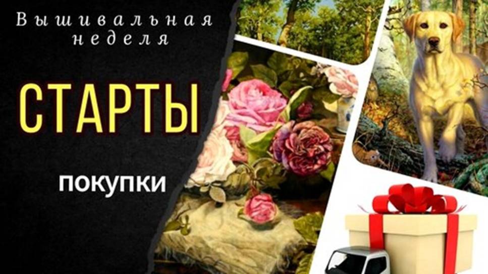 Новые СТАРТЫ_Покупки_Надима_Смолта Стич_Процессы смотреть онлайн