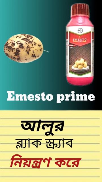 আলু বীজ শোধন #shorts #YouTube_shorts #smart farmer смотреть онлайн