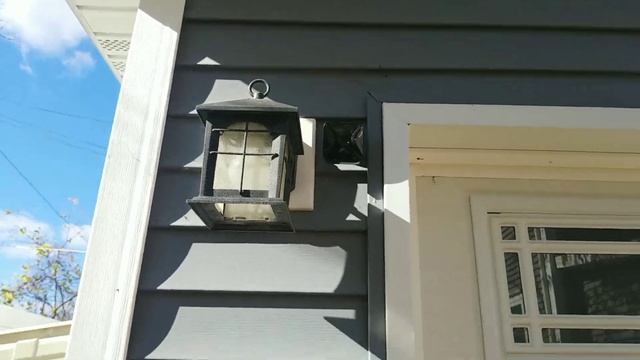 Blink Outdoor Camera | How many do you Need? смотреть онлайн