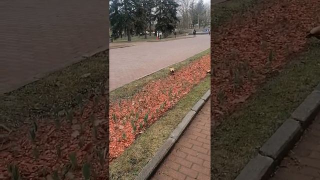 Прогулка МГУ 9апреля 2024 смотреть онлайн