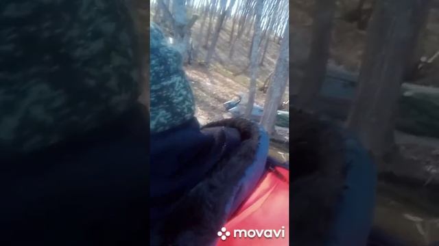 рыбалка.ночевка.путишествие.ловля красноглазки смотреть онлайн