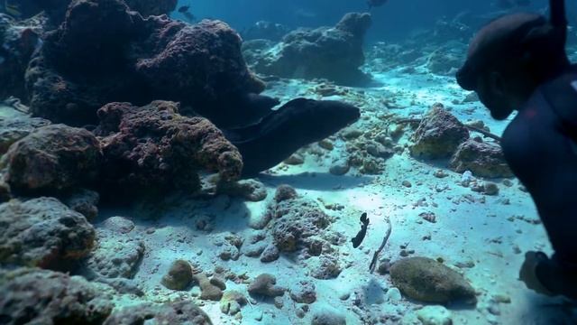 Gliders смотреть онлайн