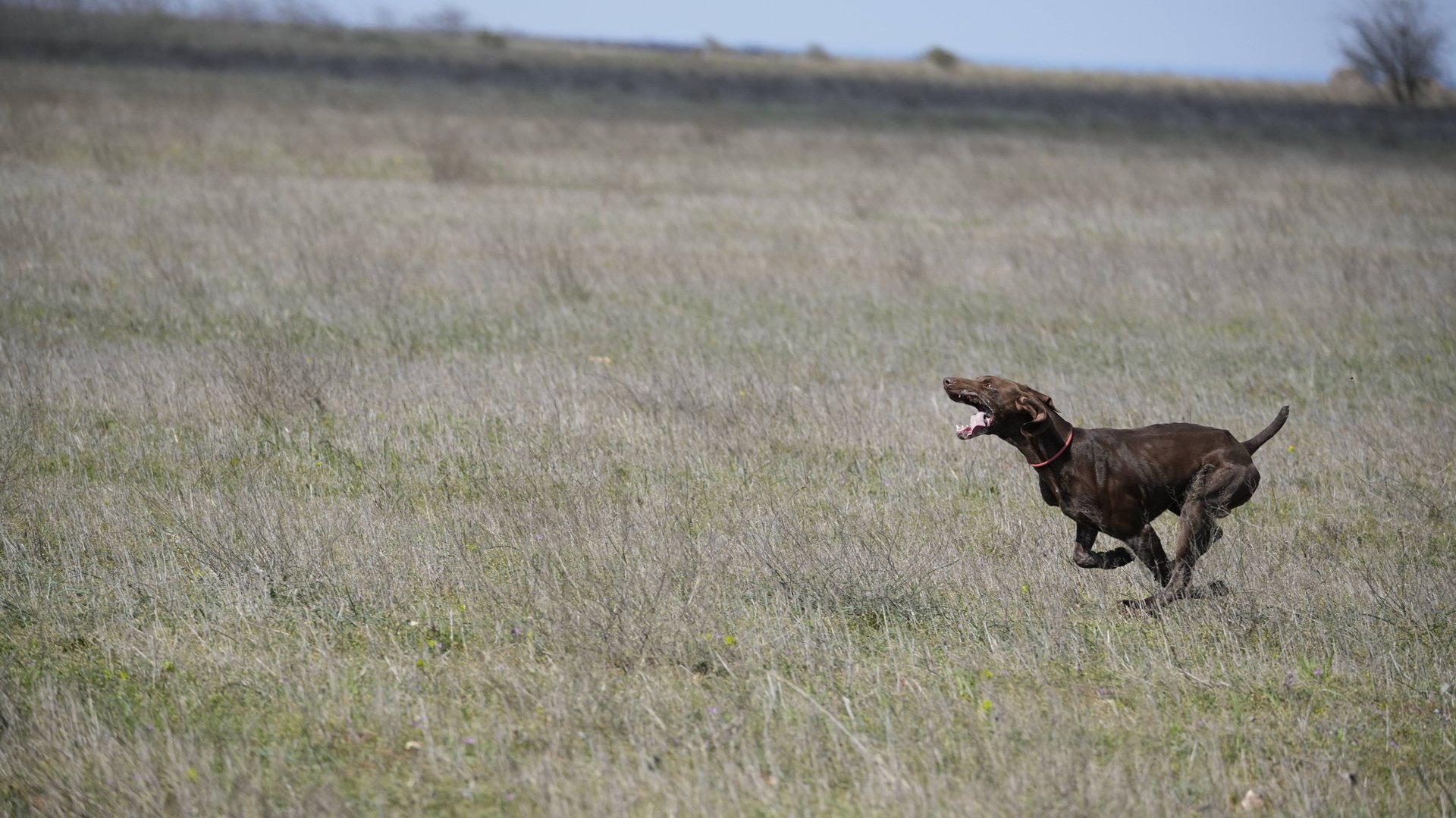 Millanensis Natan 2025