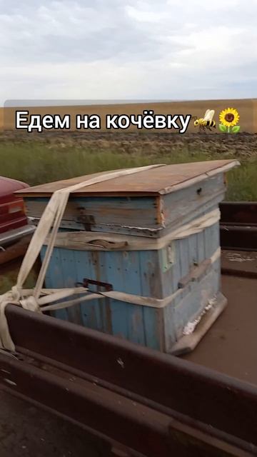 Кто где кочует, пчеловоды? Моя первая кочёвка смотреть онлайн