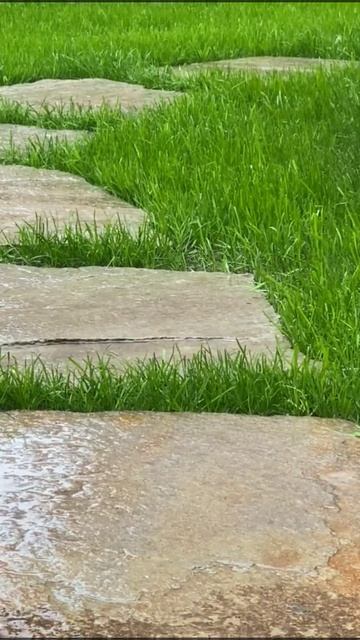 SECRET GARDEN 💦 Wonderful sound of calm rain falling on garden grass 🌧 SUBSCRIBE 🌧 смотреть онлайн