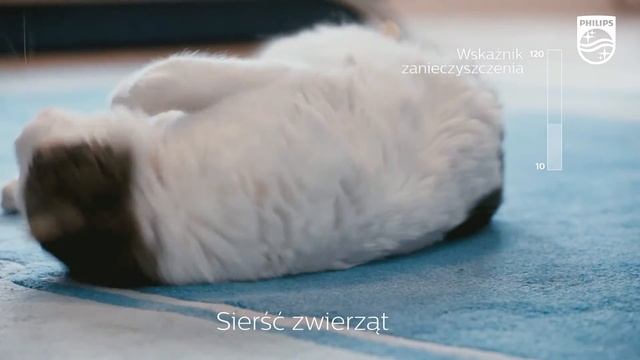Idealny dla alergików oczyszczacz powietrza Philips AC3256 смотреть онлайн