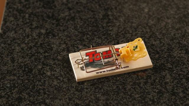 Mechanical Mouse Traps | TOMCAT | Scotts Miracle-Gro Canada смотреть онлайн