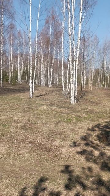 пленэр 16.04.2025 г.