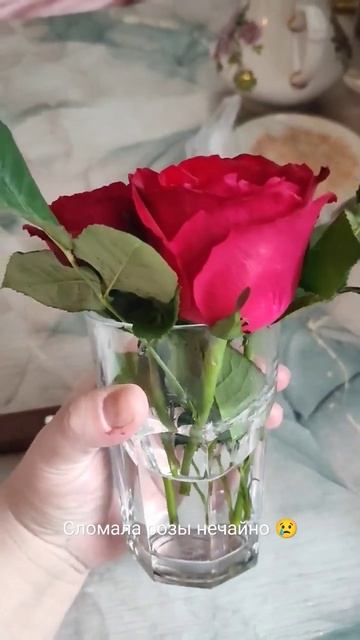 Сломанные розы 😢 #розы смотреть онлайн