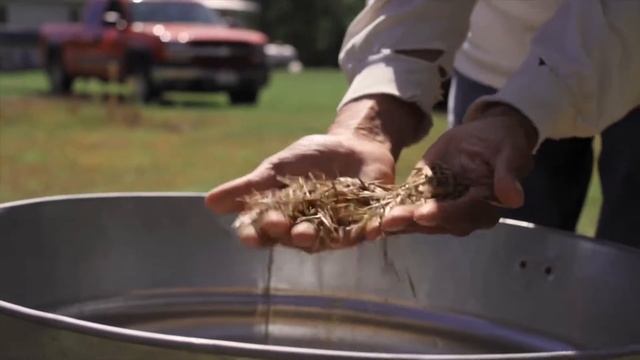 Wild Rice смотреть онлайн