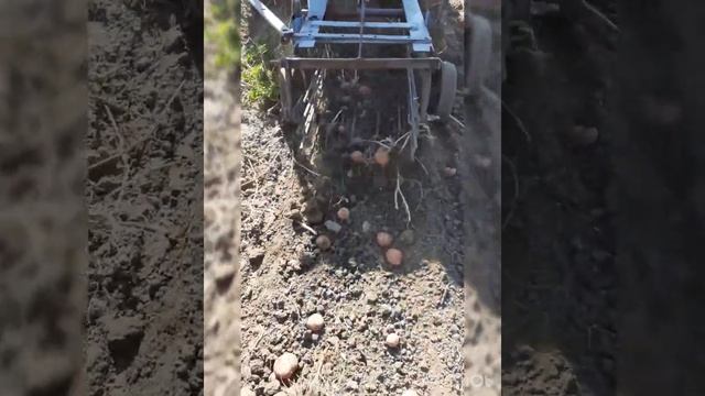 Саморобна грохотна копалка до Сінтай220 смотреть онлайн