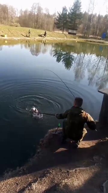 поимка смотреть онлайн