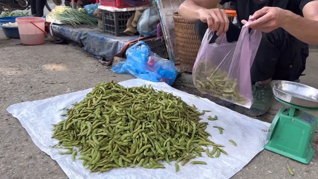 Harvesting Fresh Beans Is Surprisingly Rasy to sell, vang hoa смотреть онлайн