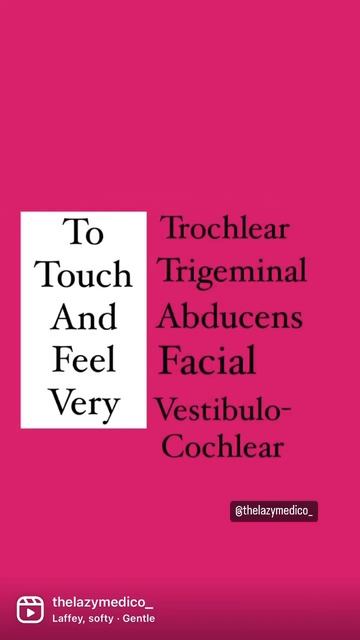 Cranial Nerves- mnemonic. Easiest way to remember Cranial nerves смотреть онлайн