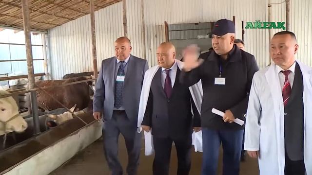 Шөкеев Сайрам ауданына барды. 01.04.2019 смотреть онлайн