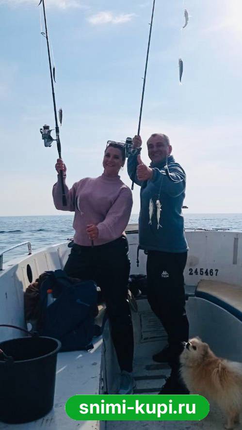 Балаклавская ставридка