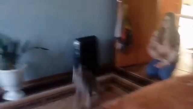 Котопёс😉 смотреть онлайн