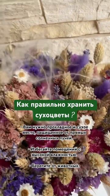 Сухоцветы