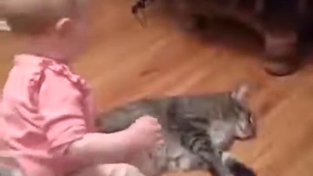 Маленький ребенок достает толстого кота Классные приколы с котами и кошками Приколы с животными смотреть онлайн