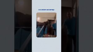 ТГ-канал "REELS ДЛЯ ФОТОГРАФА"  ссылка в шапке профиля