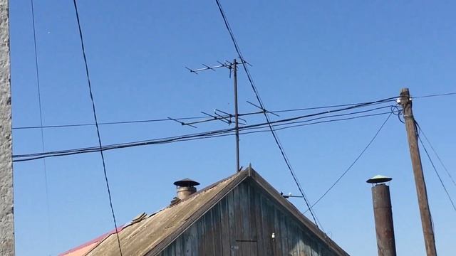 #Pigeons.Гнел и его голуби. смотреть онлайн