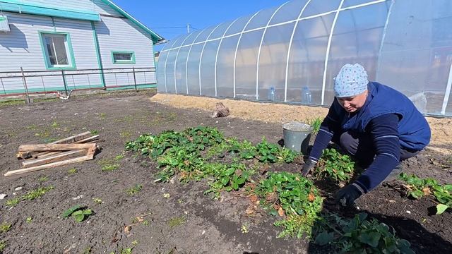 Результат ошеломил!!! Всем советую! смотреть онлайн