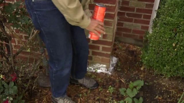 How to Get Rid of Ants with Terro Ant Dust | Blain’s Farm & Fleet смотреть онлайн