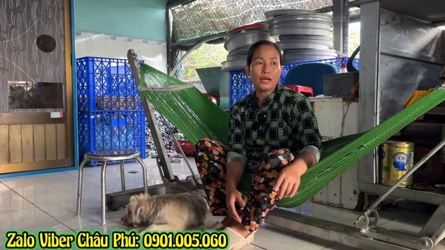 Chuyện Lạ 🛑 Cha Đầu Thai Chó về kêu con gái chỉ nhà ( Nguyện Giảm Thọ 10 Tuổi Cứu Cha | Châu Phú смотреть онлайн
