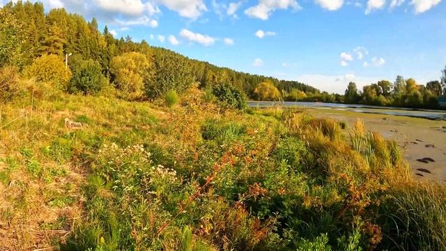 Покатушки на квадриках, едем смотреть диких уток. смотреть онлайн