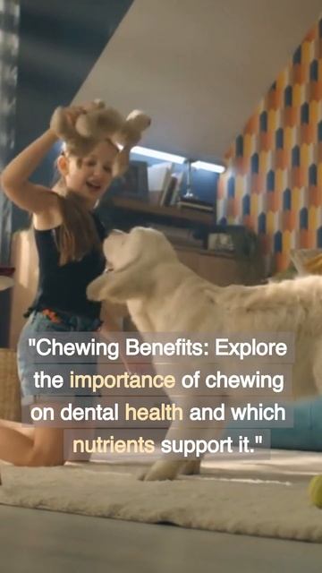 Strong Bones and Teeth: Explore the essential nutrients that support your pup's dental health смотреть онлайн