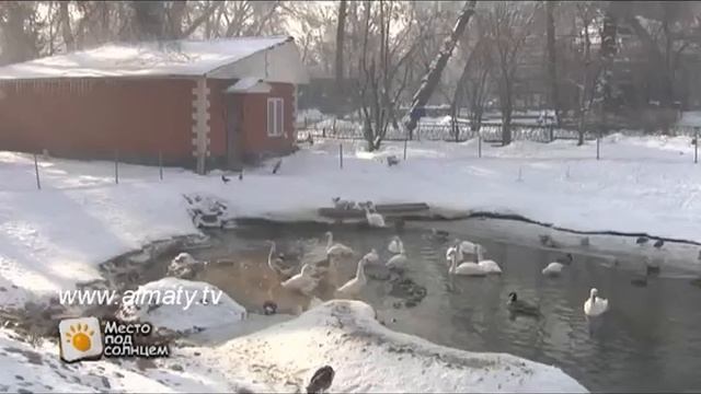 Зоопарк смотреть онлайн