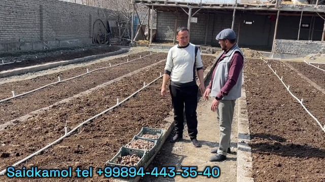 Koʻchat ekish mavsumida. Biogumusni oʻrni va Chuvalchang Biznesi. Narhi oʻzgarmagan 500 ming soʻm. смотреть онлайн