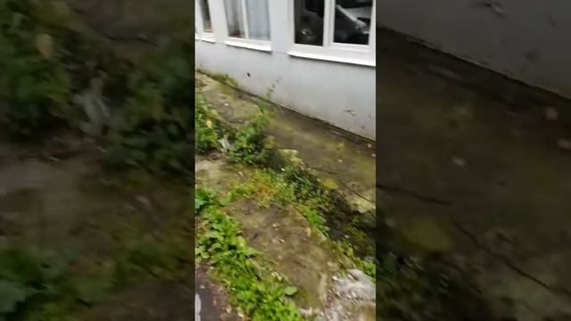 Саб 3000ват ребята акустика готова, участвовала на автозвук, завтра будет ролик 3000ват в деле смотреть онлайн