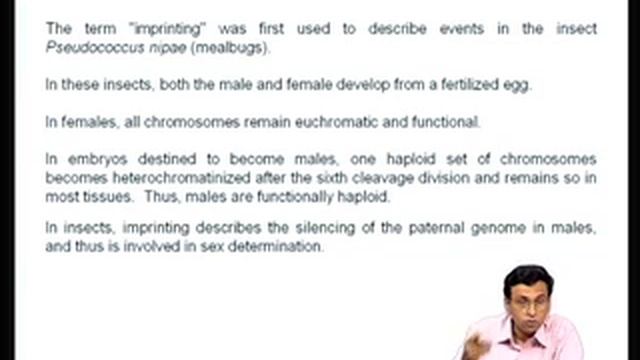 Mod-07 Lec-27 Epigenetic regulation of gene expression during development смотреть онлайн
