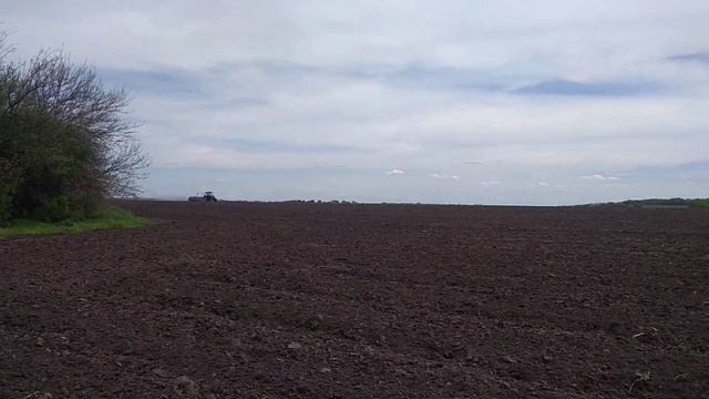 Сієм сою Піонер Т. смотреть онлайн